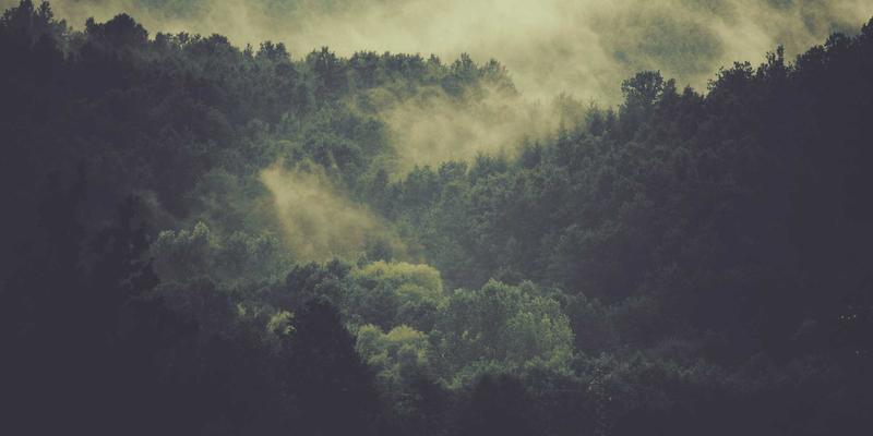 办公伙伴指南：企业级文件管理从物理文件夹到数字化的智慧过渡策略