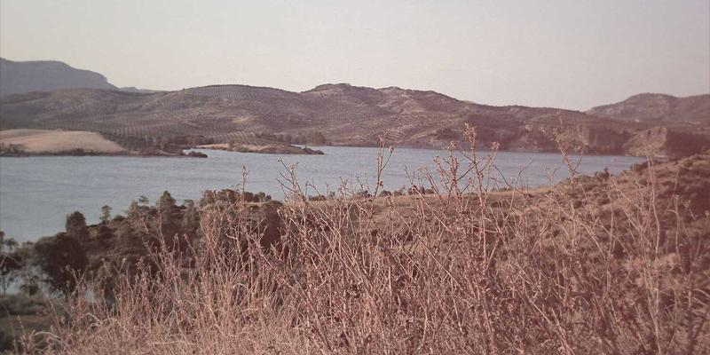 办公用品24：现代商务服务与办公伙伴的智慧之选