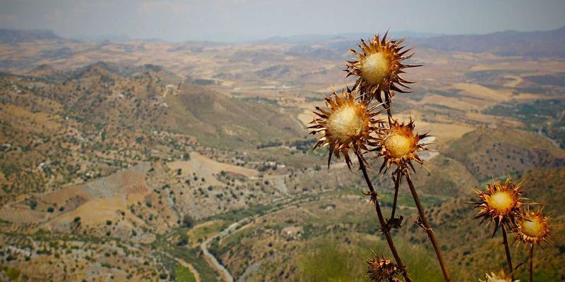 办公用品53：打造高效办公空间的智能解决方案与伙伴选择