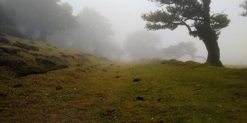 办公用品入门指南：从办公伙伴到高效办公室解决方案