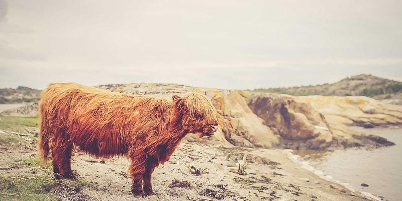 办公设备与文具采购必读：如何规避法律风险，选对办公伙伴