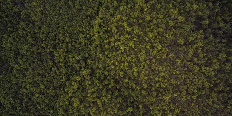 居家办公必备用品清单：专业级办公用品与商务服务打造高效远程办公室解决方案