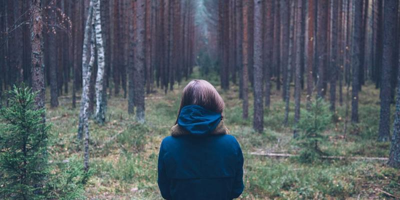 跨国企业办公用品采购新思路：优化跨境物流与关税计算的办公伙伴策略